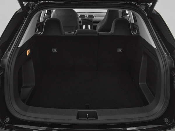 Dongfeng Mage, I фото №19