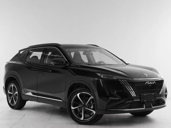 Dongfeng Mage, I фото №3