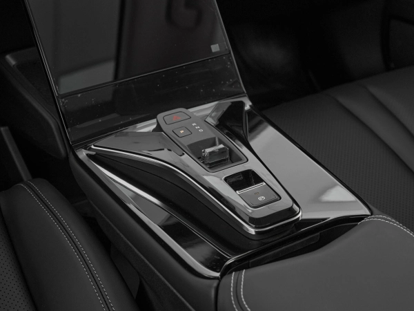 Dongfeng Mage, I фото №17