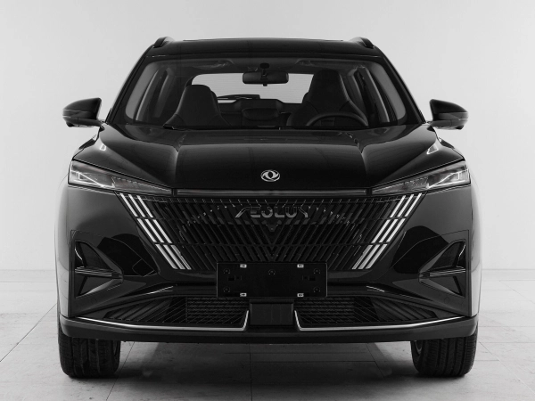 Dongfeng Mage, I фото №2