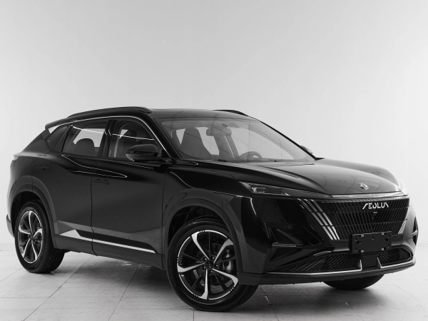 Dongfeng Mage, I фото №3