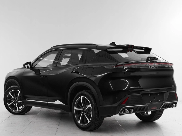 Dongfeng Mage, I фото №4