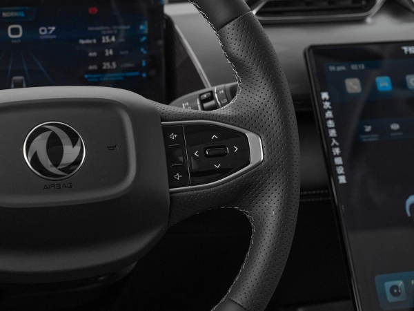 Dongfeng Mage, I фото №13