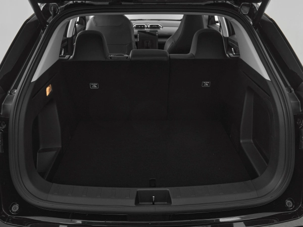 Dongfeng Mage, I фото №18