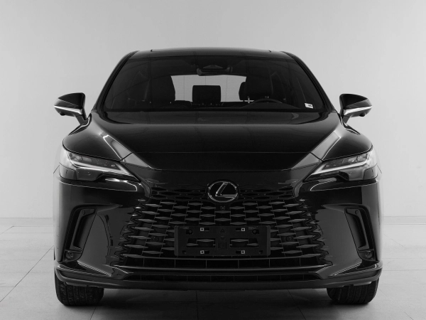 Lexus RX, V фото №2