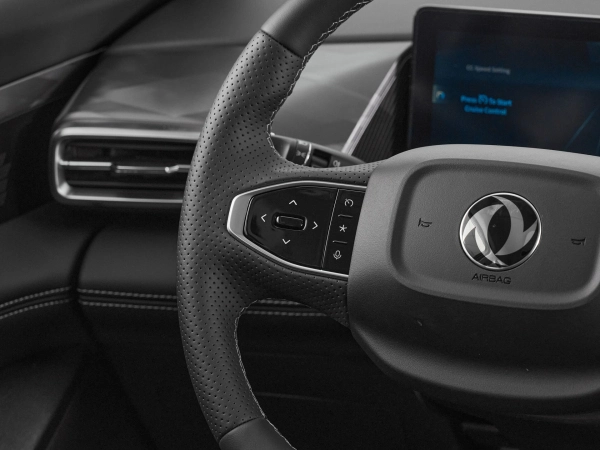 Dongfeng Mage, I фото №12