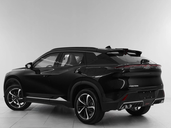 Dongfeng Mage, I фото №4