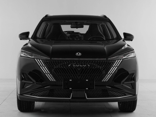 Dongfeng Mage, I фото №2