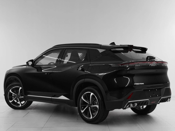 Dongfeng Mage, I фото №4