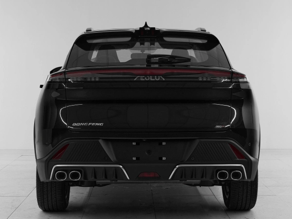 Dongfeng Mage, I фото №5
