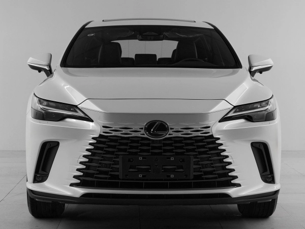 Lexus RX, V фото №2