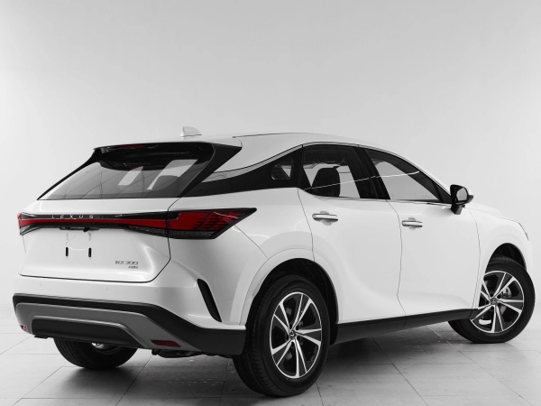 Lexus RX, V фото №6