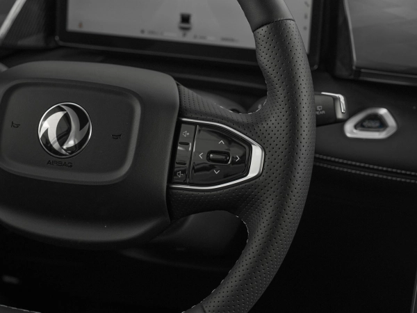 Dongfeng Mage, I фото №13