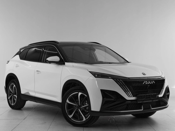 Dongfeng Mage, I фото №3
