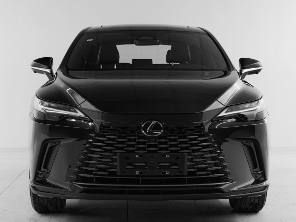 Lexus RX, V фото №2