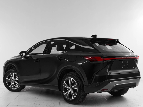 Lexus RX, V фото №4