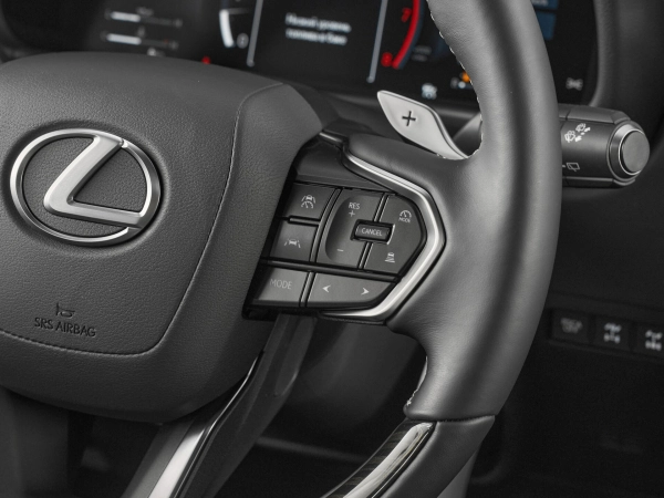 Lexus LX, IV фото №14