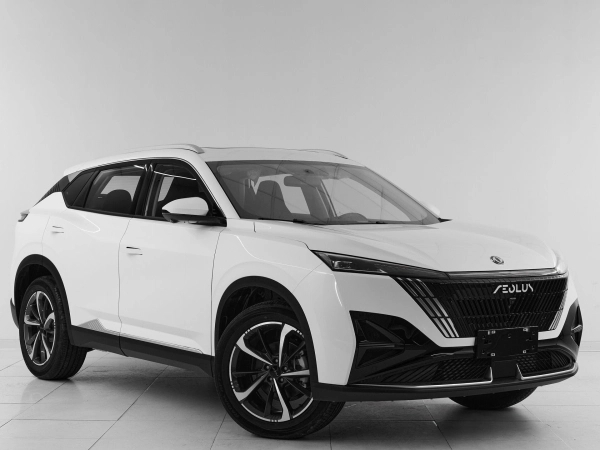 Dongfeng Mage, I фото №3