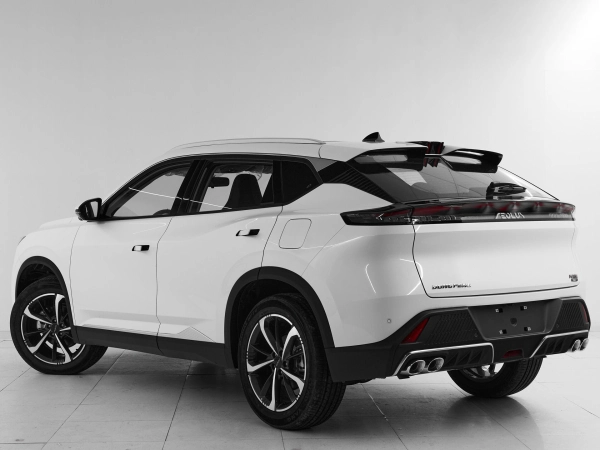 Dongfeng Mage, I фото №4