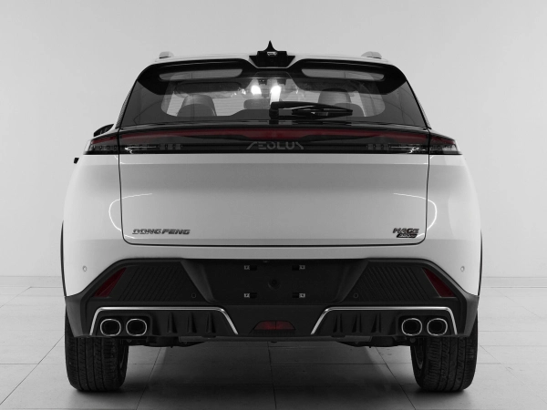 Dongfeng Mage, I фото №5