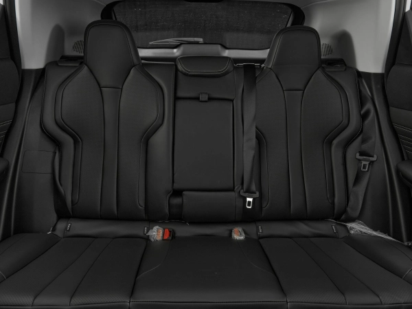 Dongfeng Mage, I фото №18