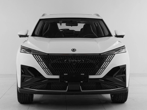 Dongfeng Mage, I фото №2