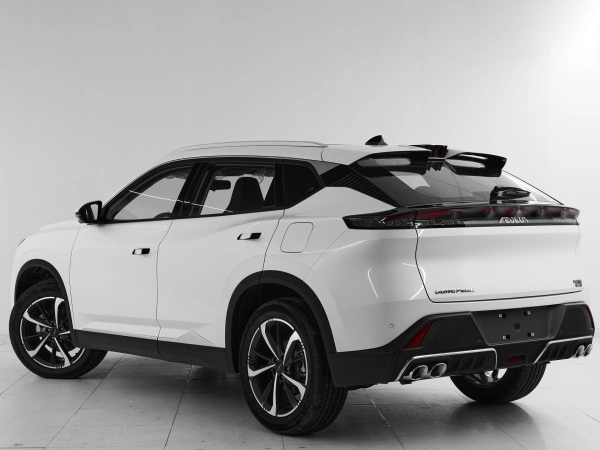Dongfeng Mage, I фото №4