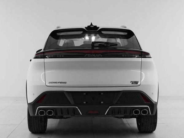 Dongfeng Mage, I фото №5