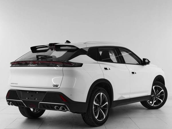 Dongfeng Mage, I фото №6