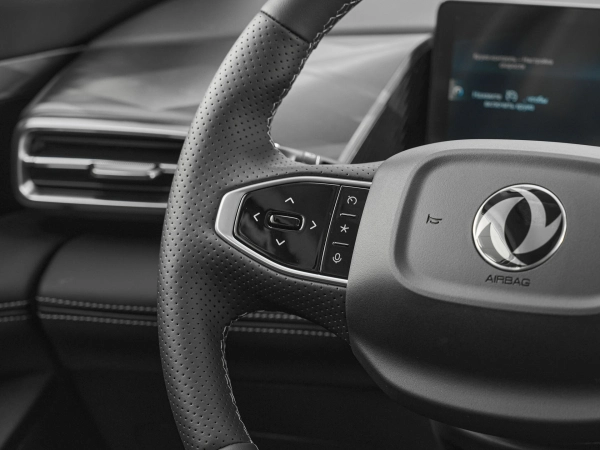 Dongfeng Mage, I фото №12