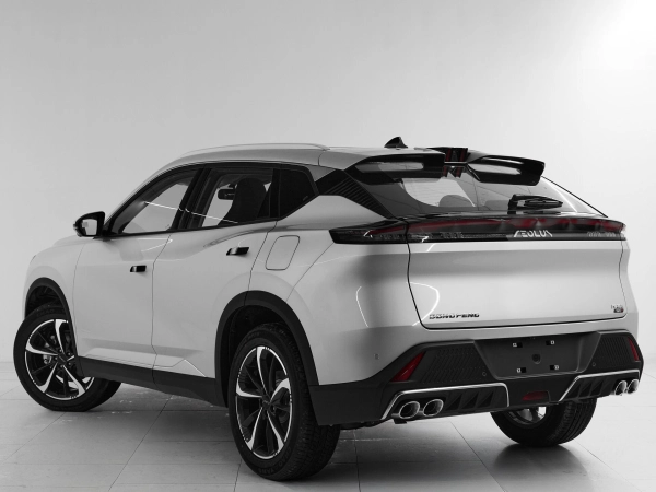 Dongfeng Mage, I фото №4