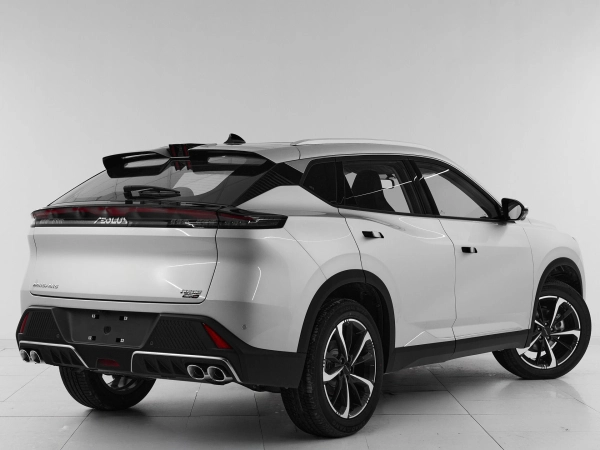 Dongfeng Mage, I фото №6