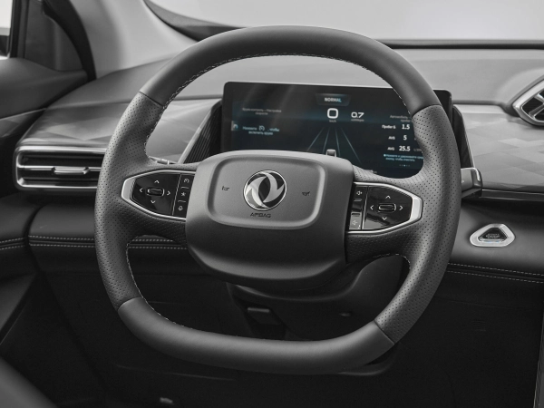 Dongfeng Mage, I фото №11
