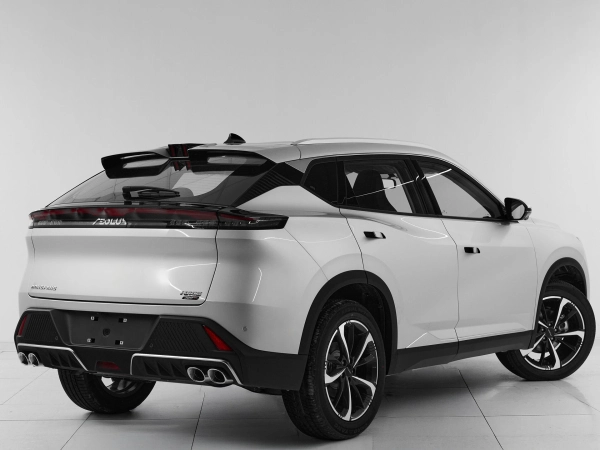 Dongfeng Mage, I фото №6
