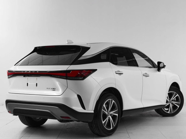 Lexus RX, V фото №6