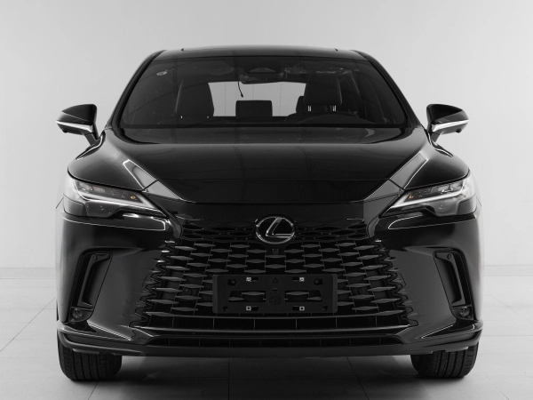 Lexus RX, V фото №2