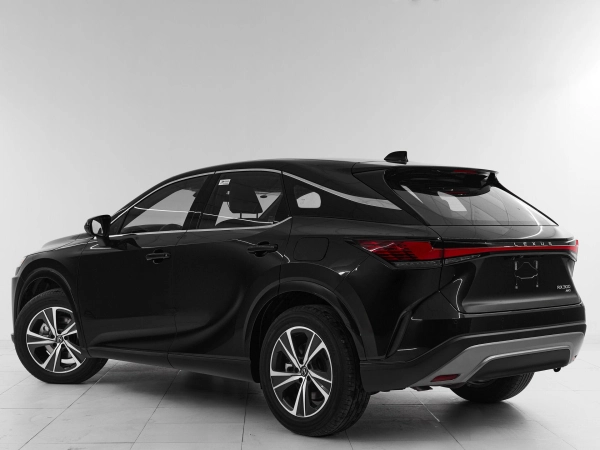 Lexus RX, V фото №4