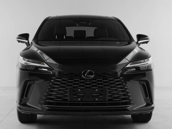 Lexus RX, V фото №2