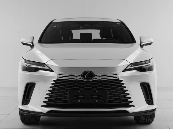 Lexus RX, V фото №2