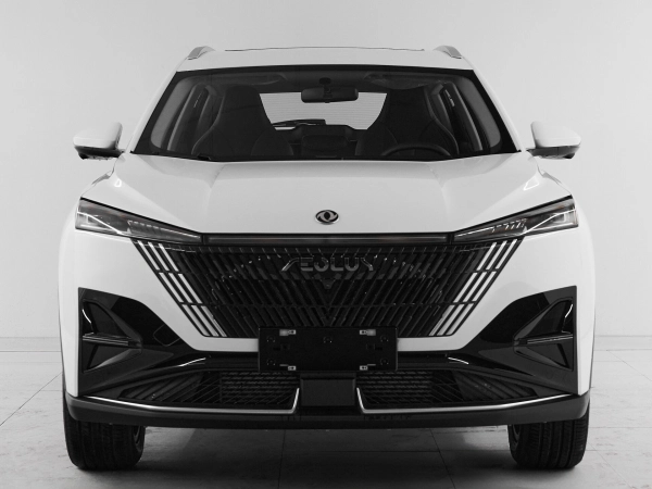 Dongfeng Mage, I фото №2
