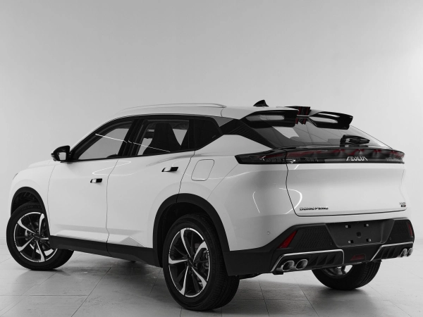 Dongfeng Mage, I фото №4
