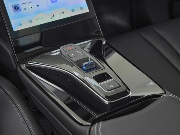 Dongfeng Mage, I фото №17