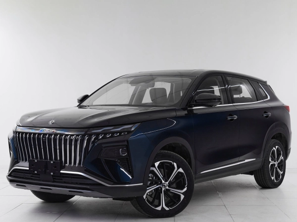 Dongfeng Huge, I фото №1