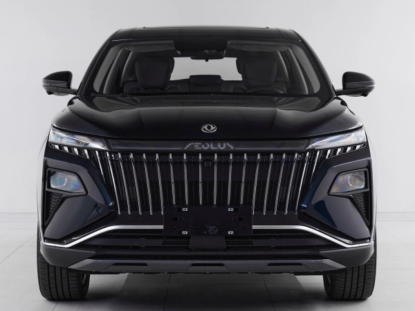 Dongfeng Huge, I фото №2