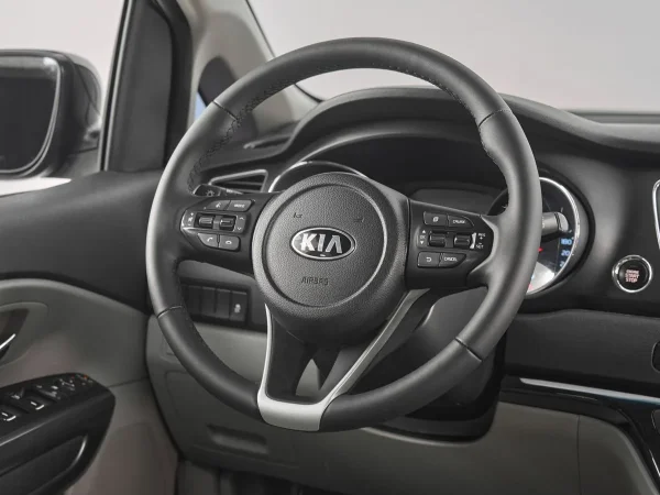 Kia Carnival, III фото №10