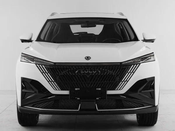 Dongfeng Mage фото №2