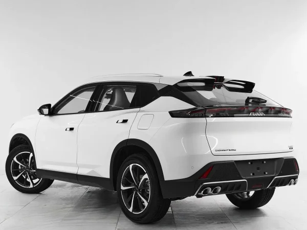 Dongfeng Mage фото №4