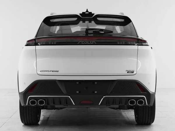 Dongfeng Mage фото №5