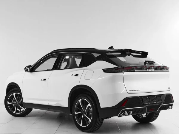 Dongfeng Mage фото №4