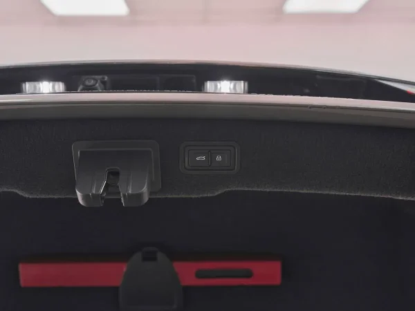 Audi A8, IV (D5) фото №28